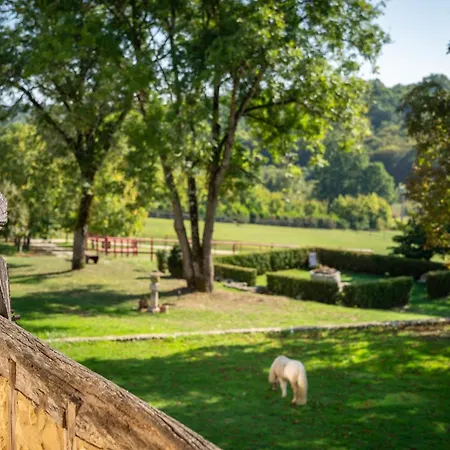 펜션 Domaine Medieval A Bergerac