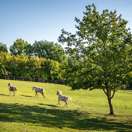 Domaine Medieval A Bergerac 펜션 Montagnac-la-Crempse